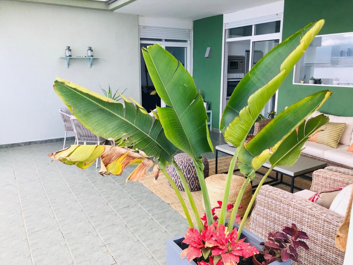 La Casa Verde Radazul المظهر الخارجي الصورة